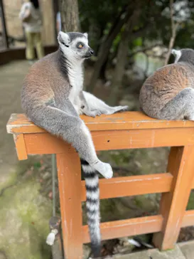 神戸どうぶつ王国に投稿された画像（2022/7/4）