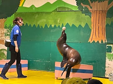 ゼロ距離水族館 伊勢シーパラダイスに投稿された画像（2022/7/4）