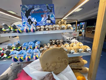 ゼロ距離水族館 伊勢シーパラダイスに投稿された画像（2022/7/4）