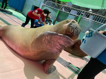 ゼロ距離水族館 伊勢シーパラダイスに投稿された画像（2022/7/4）