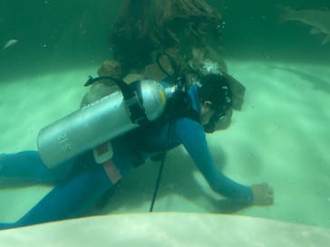 大分マリーンパレス水族館 「うみたまご」に投稿された画像（2022/7/4）