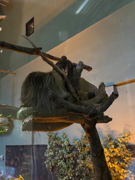 サンシャイン水族館に投稿された画像（2022/7/4）