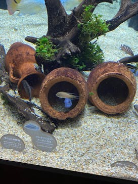 サンシャイン水族館に投稿された画像（2022/7/4）