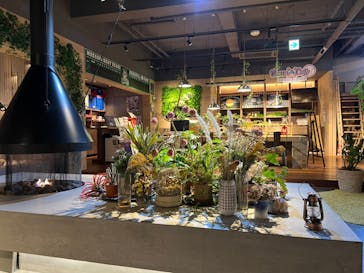 おふろcafé ハレニワの湯に投稿された画像（2022/5/30）