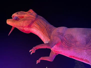 伊豆ぐらんぱる公園に投稿された画像（2022/7/4）