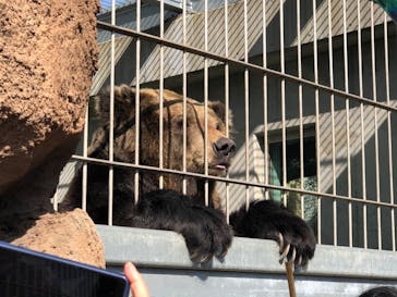 東武動物公園に投稿された画像（2022/7/4）