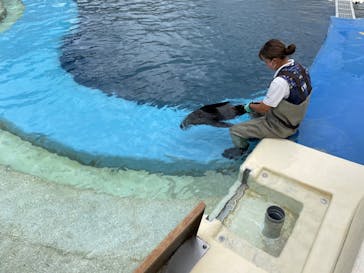 大分マリーンパレス水族館 「うみたまご」に投稿された画像（2022/7/4）