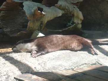 仙台うみの杜水族館に投稿された画像（2022/7/4）
