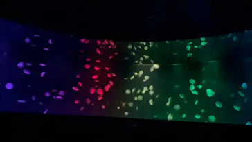 サンシャイン水族館に投稿された画像（2022/7/4）