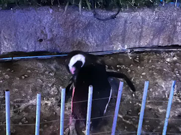 サンシャイン水族館に投稿された画像（2022/7/4）