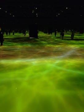 チームラボプラネッツ TOKYO DMMに投稿された画像（2022/7/4）