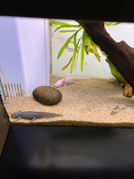 サンシャイン水族館に投稿された画像（2022/7/4）