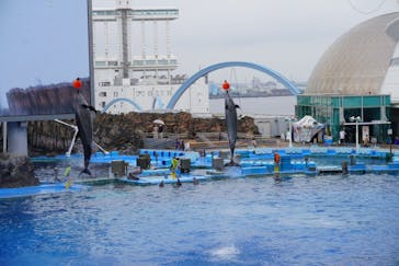 名古屋港水族館に投稿された画像（2022/7/4）