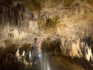 石垣島鍾乳洞に投稿された画像（2022/7/4）