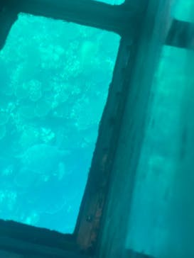 川平マリンサービスに投稿された画像（2022/7/4）