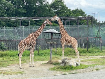 那須サファリパークに投稿された画像（2022/7/4）