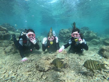 武藤潜水に投稿された画像（2022/7/4）