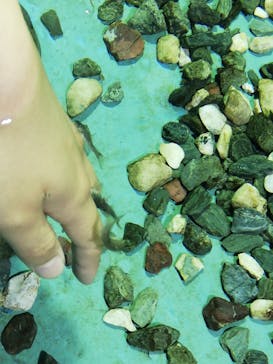 ゼロ距離水族館 伊勢シーパラダイスに投稿された画像（2022/7/5）