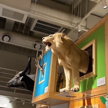 国立科学博物館に投稿された画像（2022/7/5）