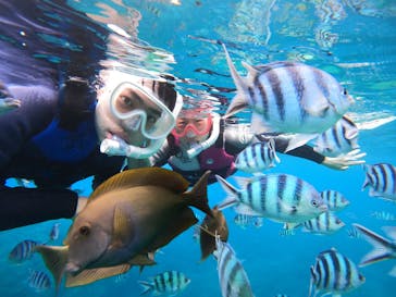 武藤潜水に投稿された画像（2022/7/5）