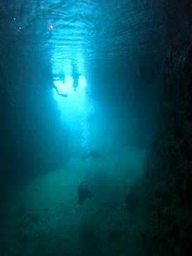 武藤潜水に投稿された画像（2022/7/5）