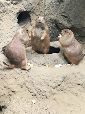 神戸どうぶつ王国に投稿された画像（2022/7/5）