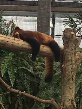 神戸どうぶつ王国に投稿された画像（2022/7/5）