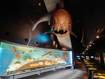 環境水族館アクアマリンふくしまに投稿された画像（2022/7/5）