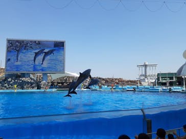 名古屋港水族館に投稿された画像（2022/7/1）