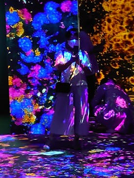 森ビル デジタルアート ミュージアム：エプソン チームラボボーダレスに投稿された画像（2022/7/5）