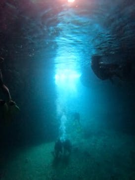 武藤潜水に投稿された画像（2022/7/5）