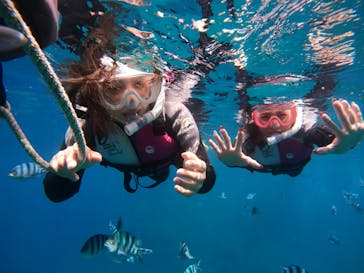 武藤潜水に投稿された画像（2022/7/5）