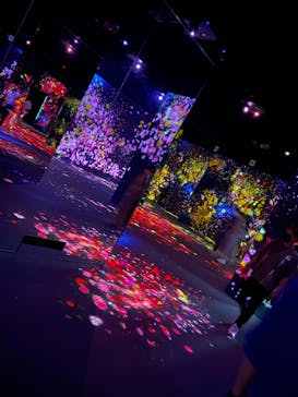 森ビル デジタルアート ミュージアム：エプソン チームラボボーダレスに投稿された画像（2022/7/5）