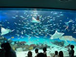 サンシャイン水族館に投稿された画像（2022/7/5）