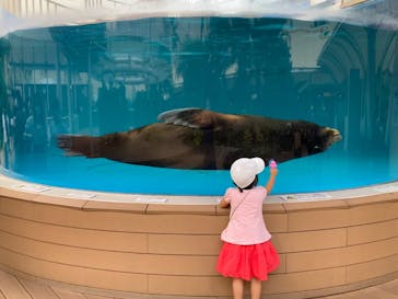 サンシャイン水族館に投稿された画像（2022/7/5）