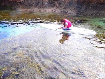 宮古島マリン SUGAR3（シュガースリー）に投稿された画像（2022/7/5）