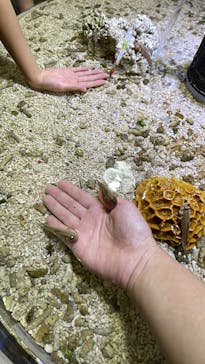 ゼロ距離水族館 伊勢シーパラダイスに投稿された画像（2022/7/5）