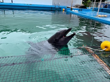 ゼロ距離水族館 伊勢シーパラダイスに投稿された画像（2022/7/5）