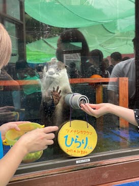 ゼロ距離水族館 伊勢シーパラダイスに投稿された画像（2022/7/5）