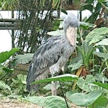 神戸どうぶつ王国に投稿された画像（2022/7/5）