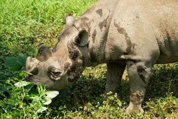 よこはま動物園ズーラシアに投稿された画像（2022/7/3）