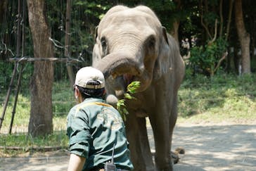 よこはま動物園ズーラシアに投稿された画像（2022/7/3）