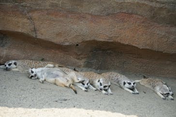 よこはま動物園ズーラシアに投稿された画像（2022/7/3）