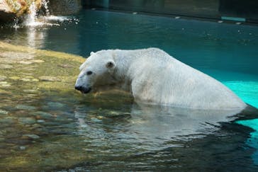 よこはま動物園ズーラシアに投稿された画像（2022/7/3）