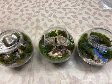 カルチャースクールいろはに投稿された画像（2022/7/5）