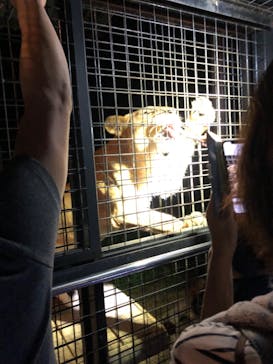 那須サファリパークに投稿された画像（2022/7/5）