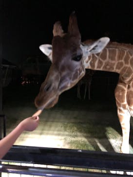 那須サファリパークに投稿された画像（2022/7/5）