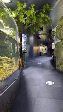 サケのふるさと 千歳水族館に投稿された画像（2022/7/5）