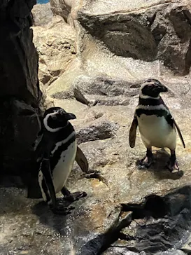 すみだ水族館に投稿された画像（2022/7/6）