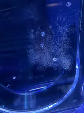 すみだ水族館に投稿された画像（2022/7/6）